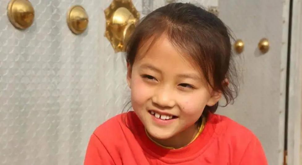 探寻神秘西夏之韵,宁夏魅力之旅揭秘